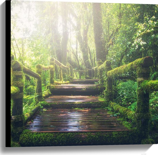 Canvas - Begroeide Groene Brug met Lichtstralen - 60x60 cm Foto op Canvas Schilderij (Wanddecoratie op Canvas)
