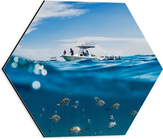WallClassics - Dibond Hexagon - Scheiding van Water en Lucht - Vissen onder een Boot - 40x34.8 cm Foto op Hexagon (Met Ophangsysteem)