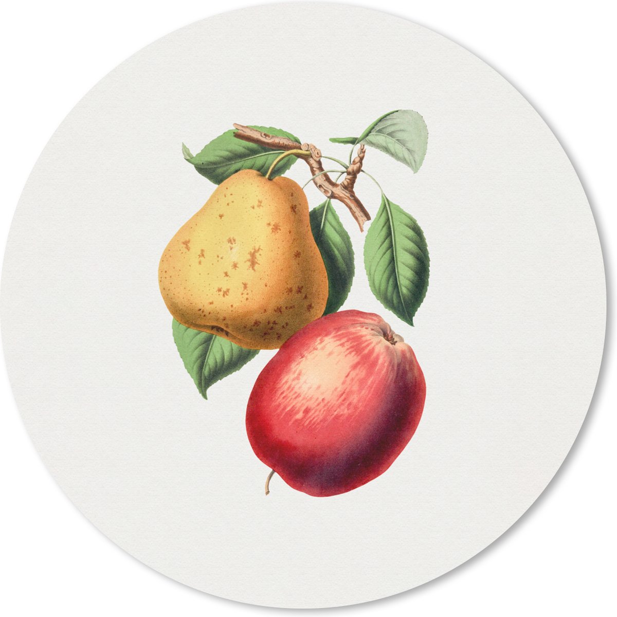 Muismat rond 50x50 cm - Mousepad Fruit - Lente - Bladeren - Ronde muismatten