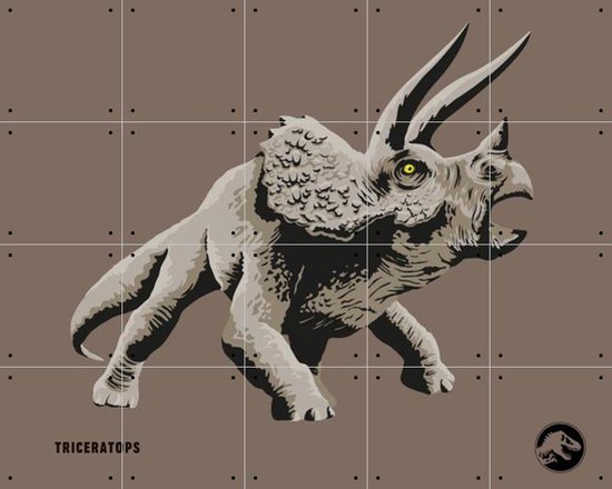 IXXI Triceratops - Wanddecoratie - Kinderen - 100 x 80 cm