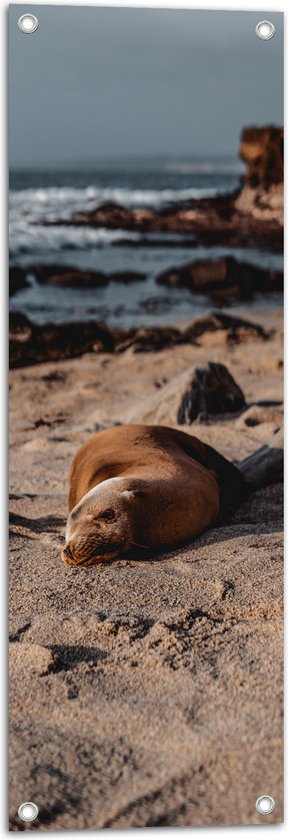WallClassics - Tuinposter – Liggende Zeehond op het Strand - 30x90 cm Foto op Tuinposter  (wanddecoratie voor buiten en binnen)