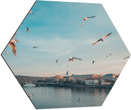 WallClassics - Dibond Hexagon - Vliegende Vogels Boven een Rivier in Praag - 80x69.6 cm Foto op Hexagon (Met Ophangsysteem)