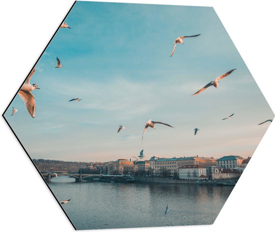 WallClassics - Dibond Hexagon - Vliegende Vogels Boven een Rivier in Praag - 60x52.2 cm Foto op Hexagon (Met Ophangsysteem)