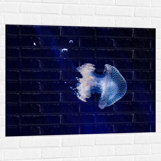 WallClassics - Muursticker - Witte Kwal onder Blauw Water - 100x75 cm Foto op Muursticker