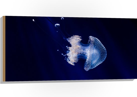 WallClassics - Hout - Witte Kwal onder Blauw Water - 100x50 cm - 12 mm dik - Foto op Hout (Met Ophangsysteem)