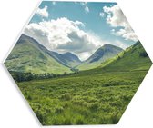 WallClassics - PVC Schuimplaat Hexagon  - Bergachtig Graslandschap - 30x26.1 cm Foto op Hexagon (Met Ophangsysteem)