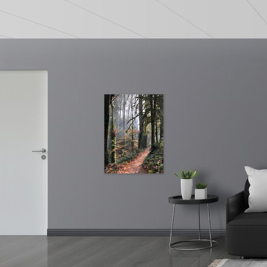 WallClassics - Toile - Chemin forestier avec Arbres couverts de mousse - 75x100 cm Photo sur toile (Décoration murale sur toile)