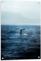 WallClassics - Tuinposter – Walvis Staart boven Zee - 60x90 cm Foto op Tuinposter  (wanddecoratie voor buiten en binnen)