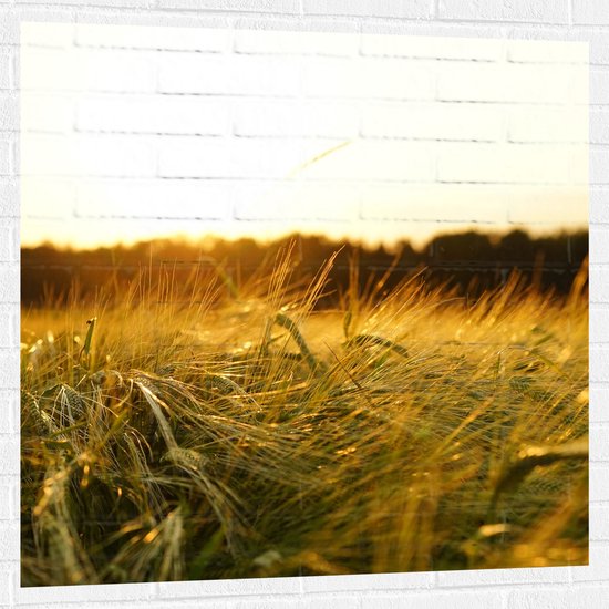 WallClassics - Muursticker - Sprinkhaan in het Gras - 100x100 cm Foto op Muursticker