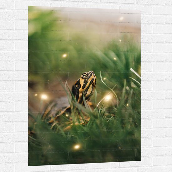 WallClassics - Muursticker - Zwart met Gele Slang tussen het Groene Gras - 80x120 cm Foto op Muursticker