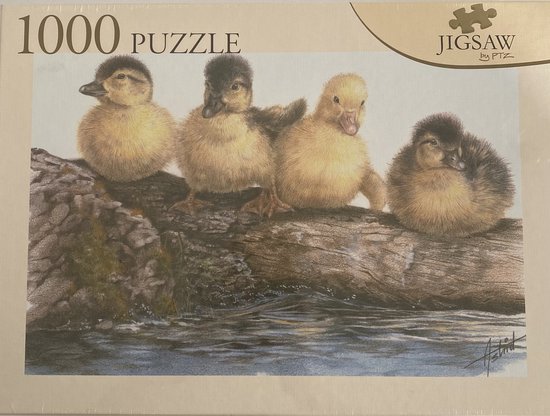 Jigsaw - Eendjes - Puzzel - Astrid - Kunst - 1000 stukjes