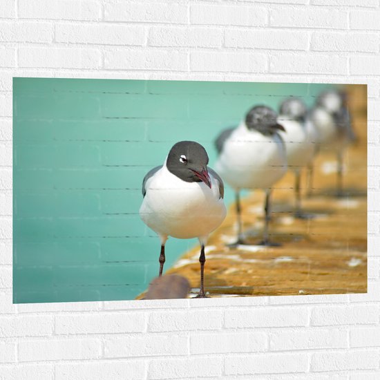 WallClassics - Muursticker - Vogels op de Steiger - 105x70 cm Foto op Muursticker