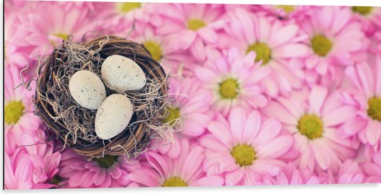 WallClassics - Dibond - Vogelnest op Roze Bloemen - 100x50 cm Foto op Aluminium (Wanddecoratie van metaal)