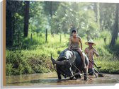 WallClassics - Hout - Waterbuffel in het Water - 80x60 cm - 12 mm dik - Foto op Hout (Met Ophangsysteem)