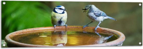 WallClassics - Tuinposter – Vogeltjes Fluitend bij een Drinkbak - 120x40 cm Foto op Tuinposter  (wanddecoratie voor buiten en binnen)
