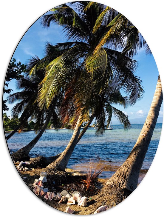 WallClassics - Dibond Ovaal - Schuine Palmbomen op het Strand - 51x68 cm Foto op Ovaal (Met Ophangsysteem)