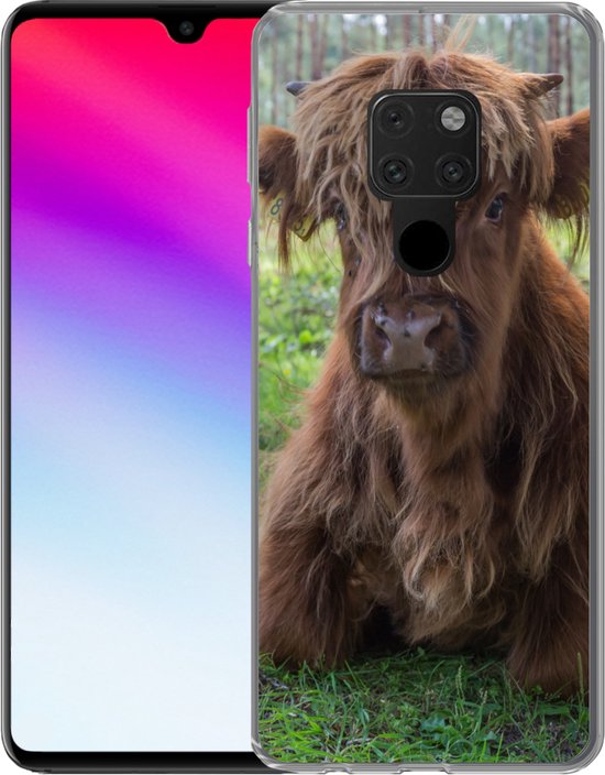 Coque Huawei P40 Lite - Highlander écossais - Crapaud - Animaux - Coque de téléphone en Siliconen