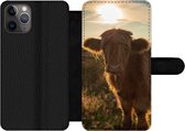 Bookcase Geschikt voor iPhone 11 Pro Max telefoonhoesje - Schotse Hooglander - Zonsondergang - Gras - Met vakjes - Wallet case met magneetsluiting