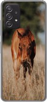 Telefoonhoesje Geschikt voor Samsung galaxy a73 hoesje - Paard - Zon - Landschap - Siliconen Telefoonhoesje