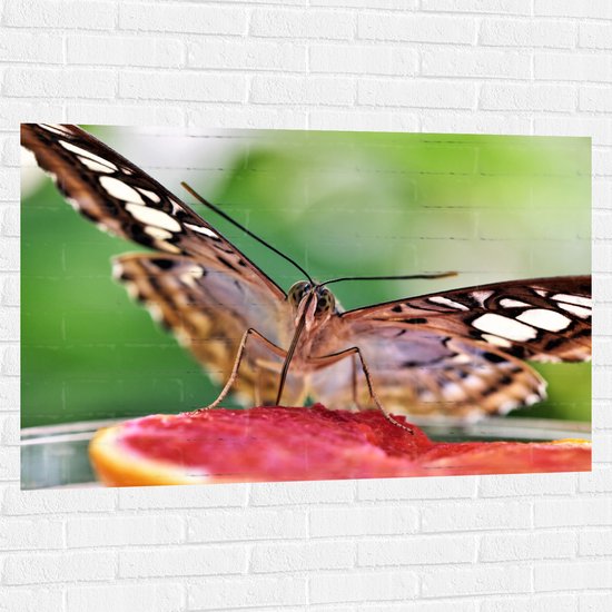 WallClassics - Muursticker - Zwart met Witte Vlinder op Fruit - 120x80 cm Foto op Muursticker