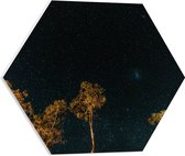 WallClassics - PVC Schuimplaat Hexagon  - Bomen in de Nacht onder Sterrenhemel - 50x43.5 cm Foto op Hexagon (Met Ophangsysteem)