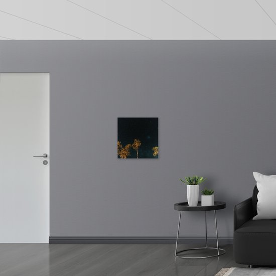 WallClassics - Panneau en mousse PVC - Arbres dans la nuit sous un ciel étoilé - Photo 50x50 cm sur panneau en mousse PVC