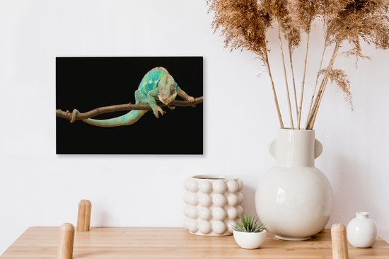 Studio shot caméléon sur toile branche 2cm 30x20 cm - petit - Tirage photo sur toile (Décoration murale salon / chambre) / animaux sauvages Peintures sur toile