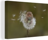 Tableaux - Souris en équilibre sur un pissenlit - Peintures cm - Décoration murale