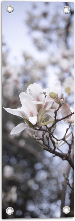 WallClassics - Tuinposter – Eenzaam Witte Bloem op Tak - 20x60 cm Foto op Tuinposter  (wanddecoratie voor buiten en binnen)