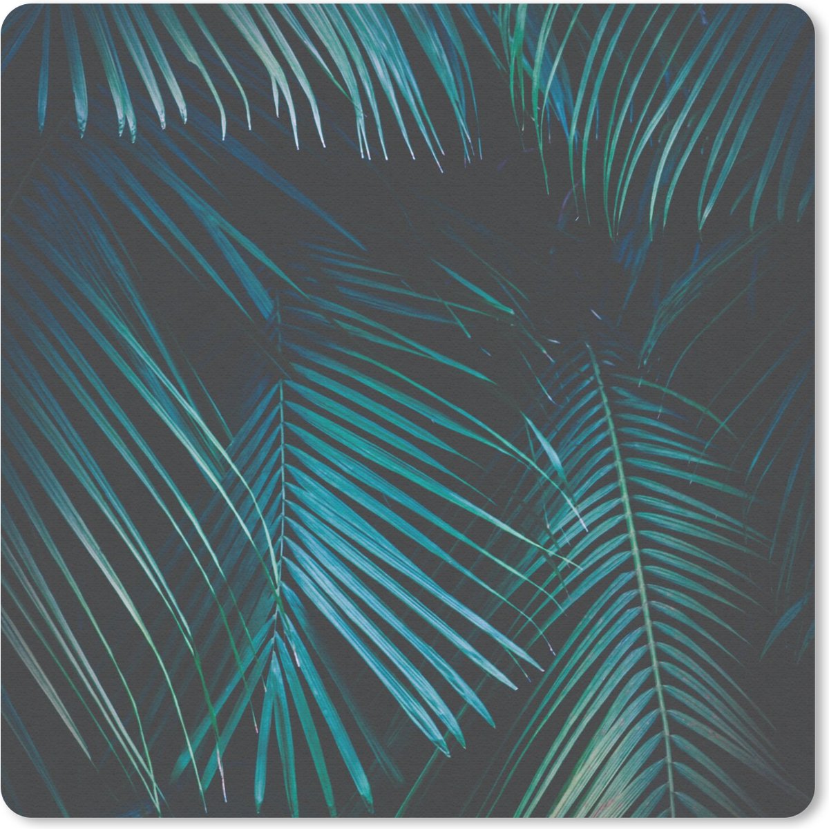 Muismat 30x30 cm - Mousepad Palm - Palmboom - Tropisch - Muismatten