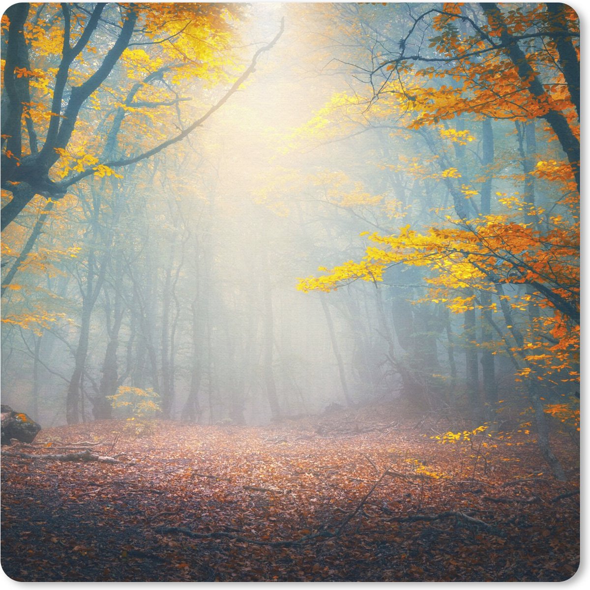 Muismat 30x30 cm - Mousepad Bos - Mist - Herfst - Muismatten