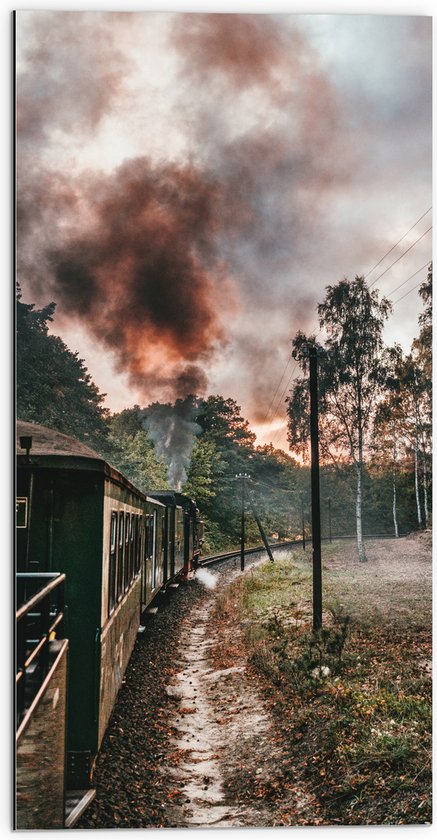 WallClassics - Dibond - Stoomtrein tussen Bomen - 50x100 cm Foto op Aluminium (Wanddecoratie van metaal)