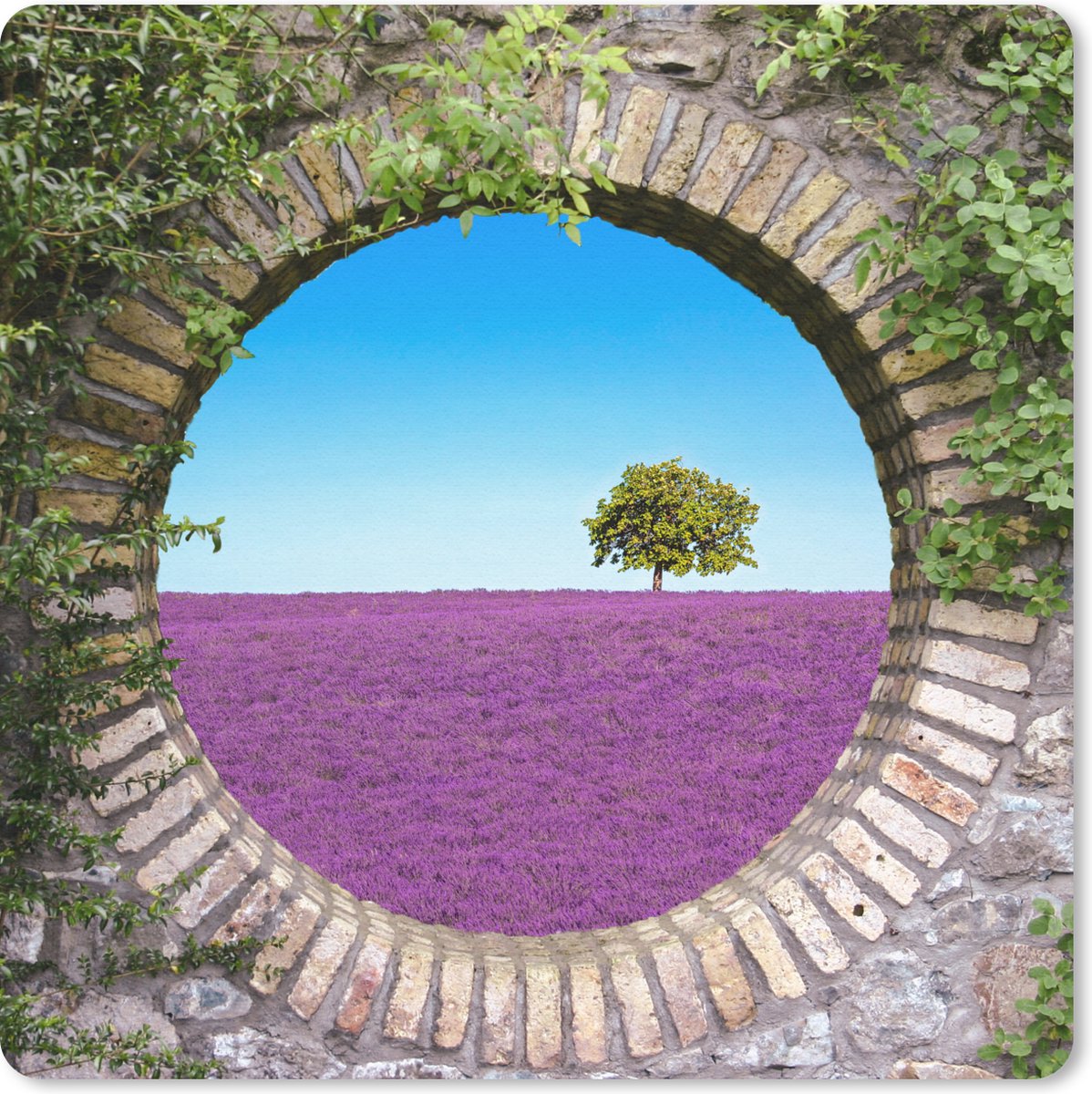 Muismat 20x20 cm - Mousepad Lavendel - Doorkijk - Bloemen - Zomer - Muismatten