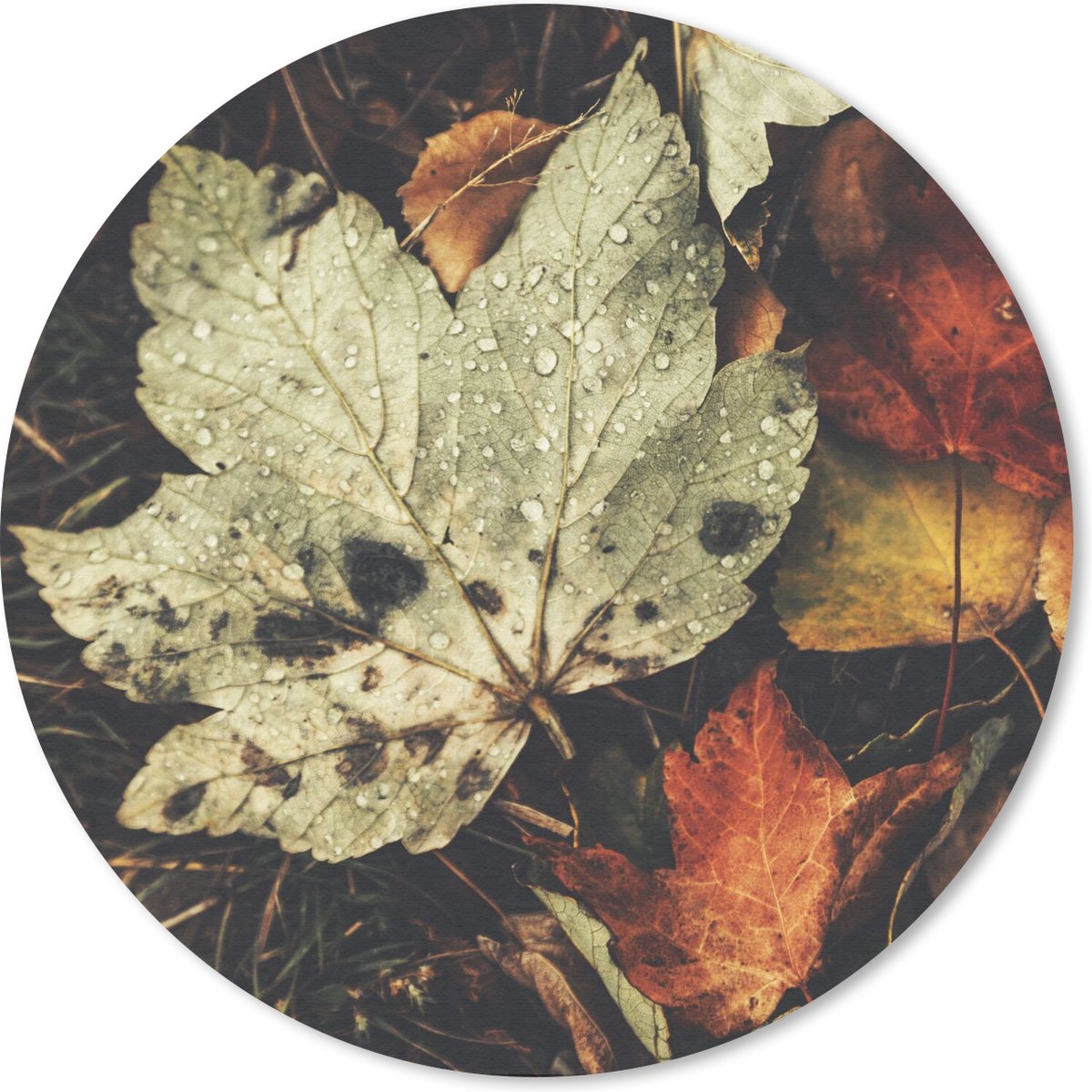 Muismat - Mousepad - Rond - Herfstbladeren - Herfst - Seizoenen - Natuur - 50x50 cm - Ronde muismat