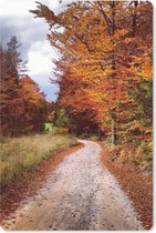 Muismat - Mousepad - Herfst - Herfstbladeren - Pad - Bos - 18x27 cm - Muismatten