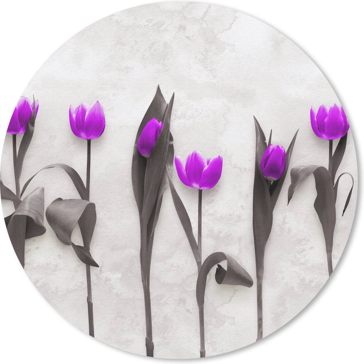 Muismat rond 50x50 cm - Mousepad Bloemen - Tulpen - Paars - Ronde muismatten