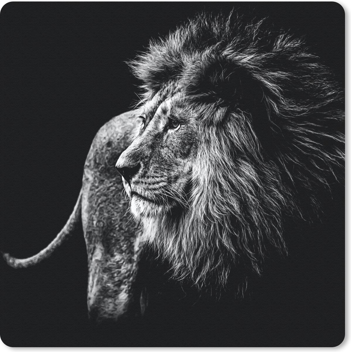 Muismat 20x20 cm - Mousepad Dieren - Wild - Leeuw - Zwart - Wit - Muismatten