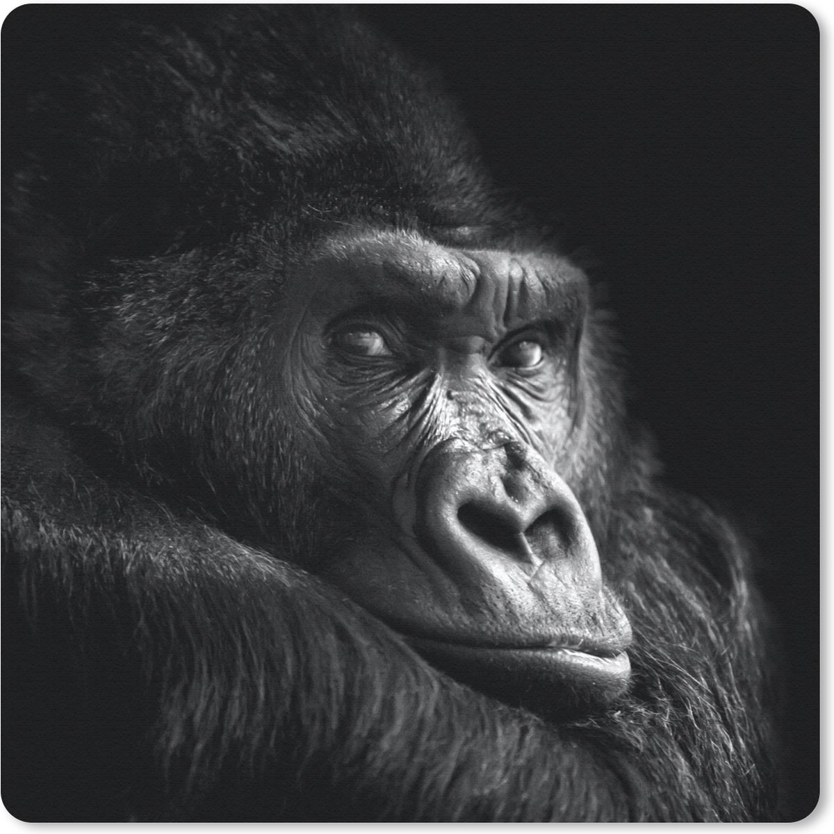 Muismat 20x20 cm - Mousepad Gorilla - Aap - Zwart - Wit - Portret - Muismatten