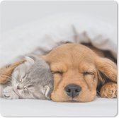 Muismat - Mousepad - huisdieren - hond - Kat - Deken - 30x30 cm - Muismatten