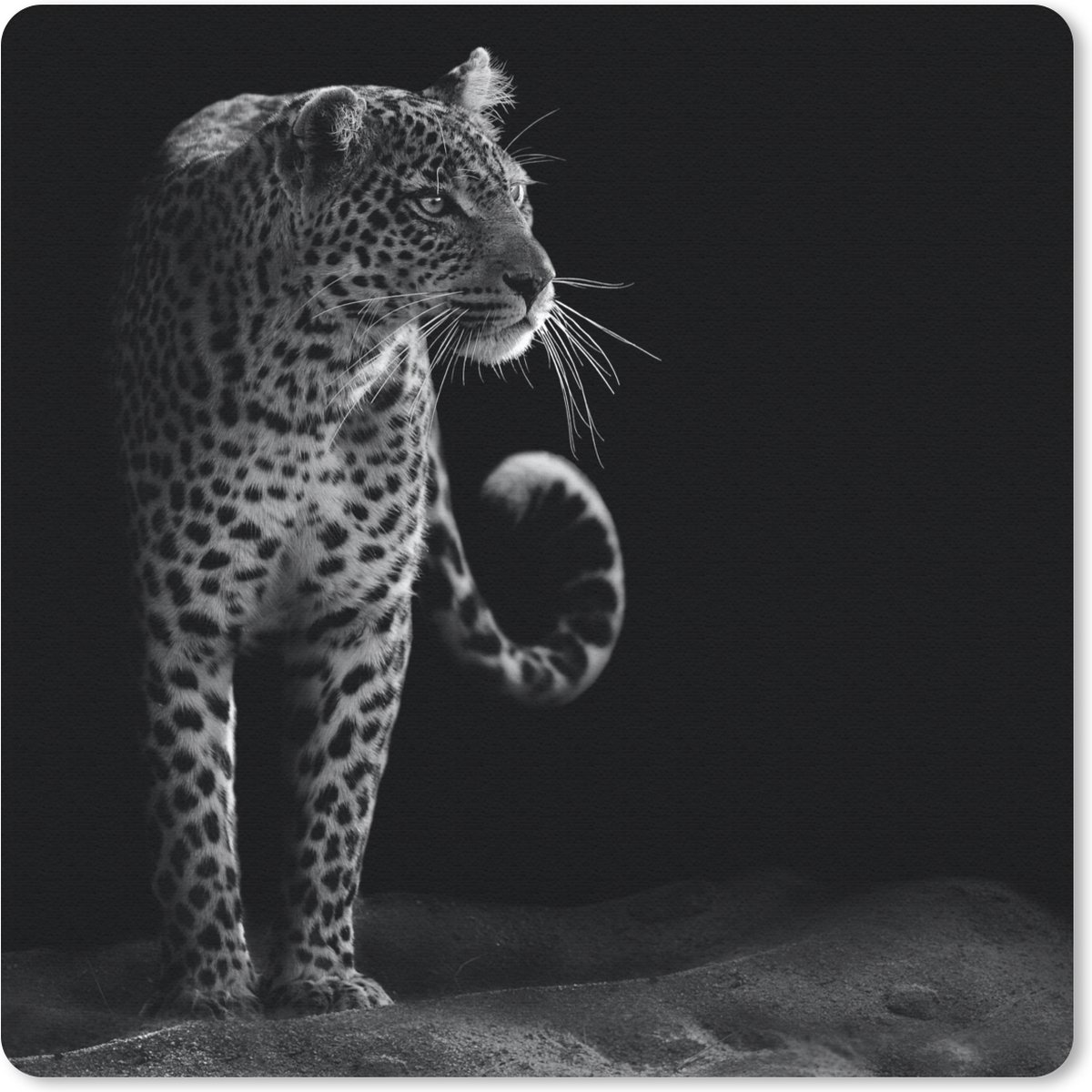 Muismat 20x20 cm - Mousepad Wilde dieren - Luipaard - Natuur - Zwart - Wit - Muismatten