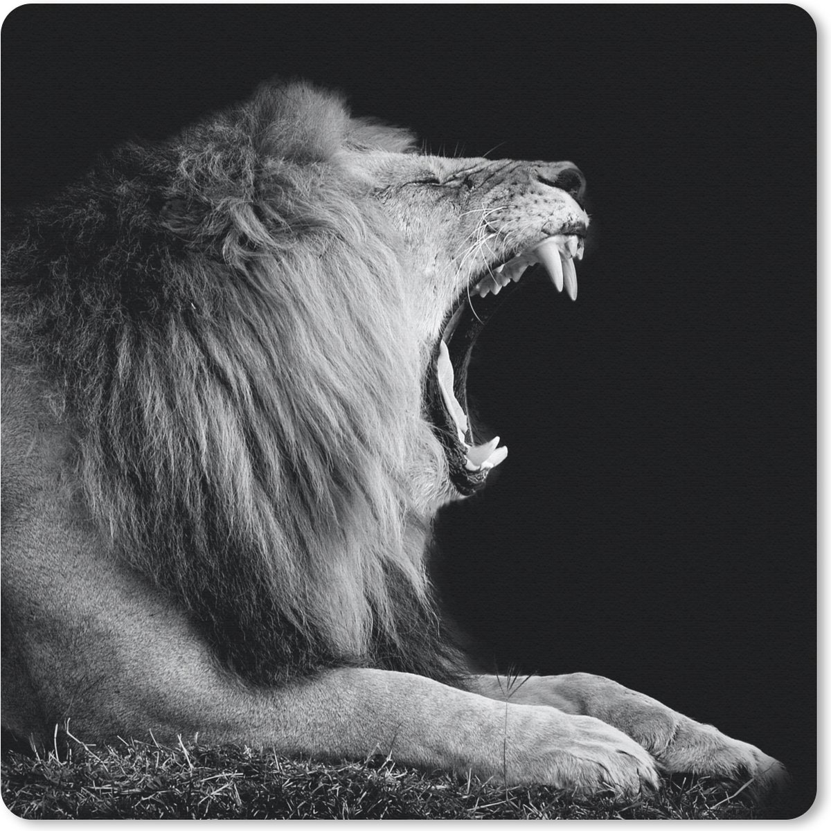 Muismat 20x20 cm - Mousepad Leeuw - Wilde dieren - Gras - Zwart - Wit - Muismatten