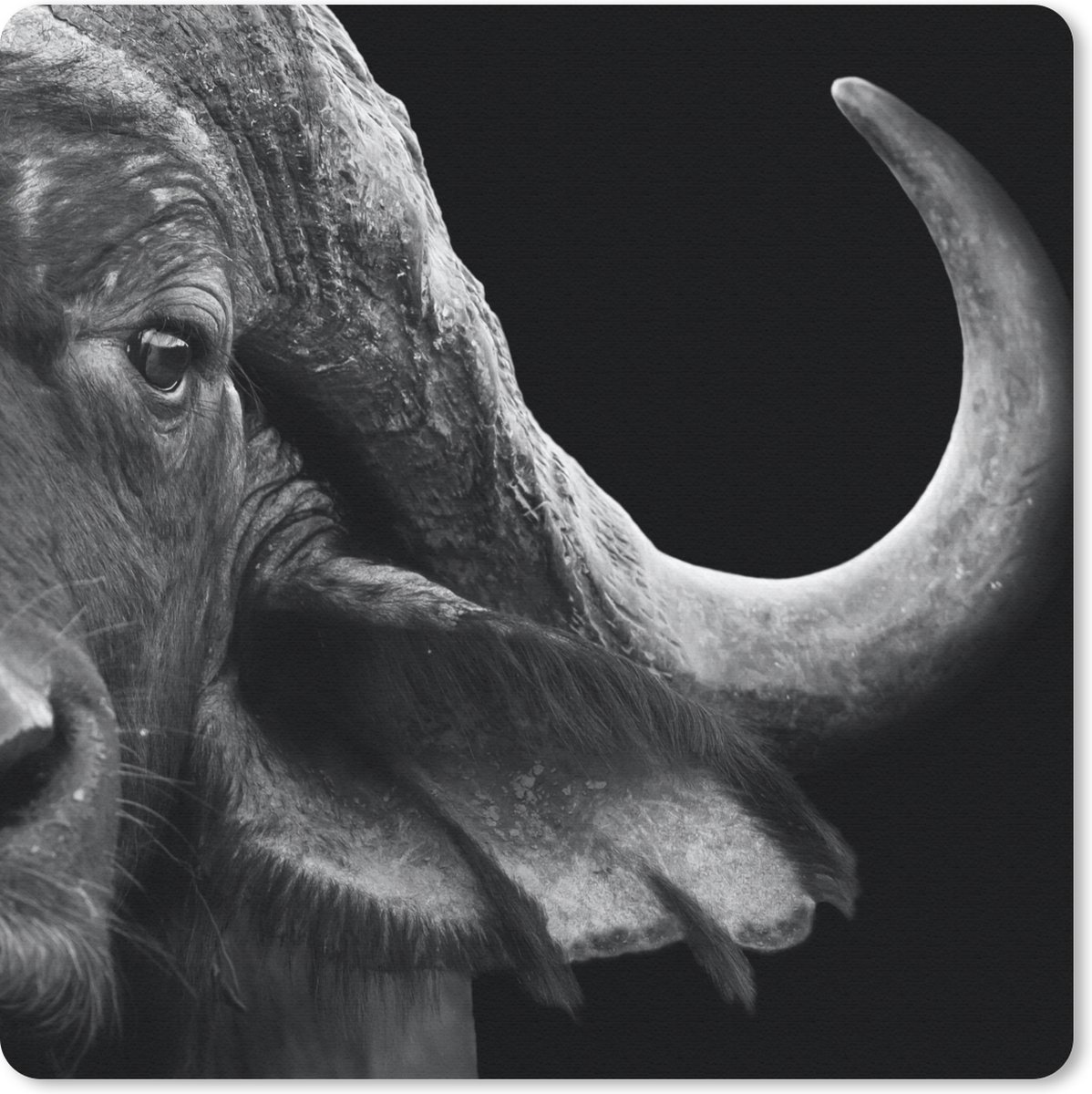 Muismat 30x30 cm - Mousepad Buffalo - Dieren - Zwart - Wit - Muismatten