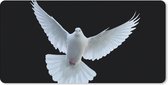 Bureauonderlegger - Duif - Vogel - Zwart - Wit - Portret - 60x30 - Muismat