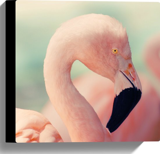 WallClassics - Canvas  - Hoofd van een Roze Flamingo - 30x30 cm Foto op Canvas Schilderij (Wanddecoratie op Canvas)