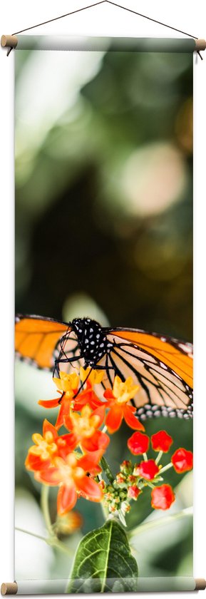 WallClassics - Textielposter - Oranje met Zwarte Vlinder op Oranje Bloem - 40x120 cm Foto op Textiel