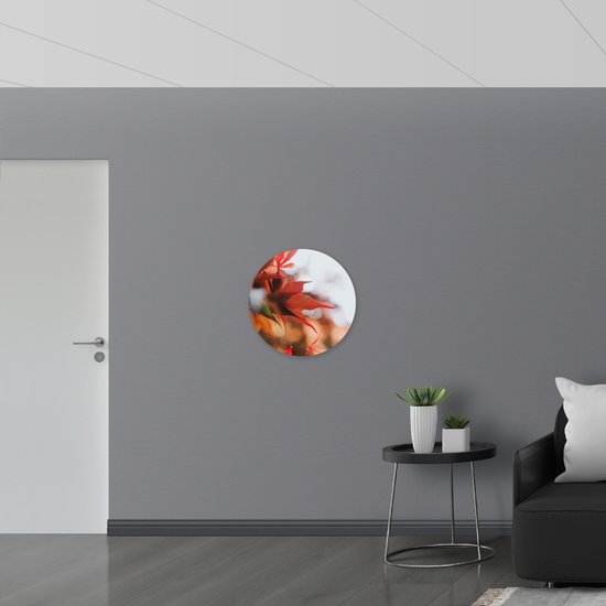 WallClassics - Dibond Wall Circle - Close up of Red Autumn Leaves - 60x60 cm Photo sur Aluminium Wall Circle (avec système d'accrochage)