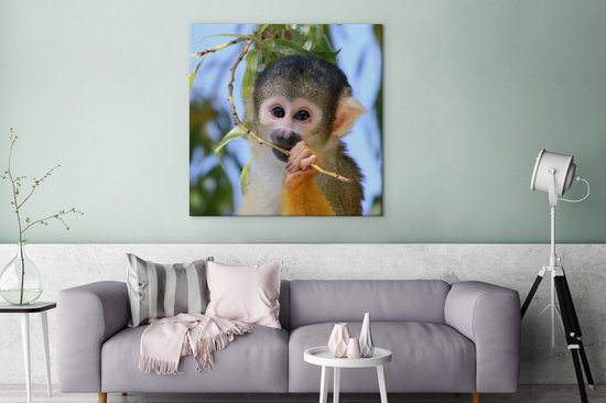 Singe écureuil mâchant une branche 90x90 cm - Tirage photo sur toile peinture (Décoration murale salon / chambre) / animaux sauvages Peintures sur toile