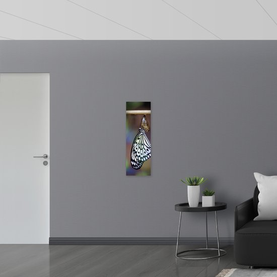 Dibond - Zwart met Witte Vlinder komt uit Cocon - 30x90 cm Foto op Aluminium (Met Ophangsysteem)