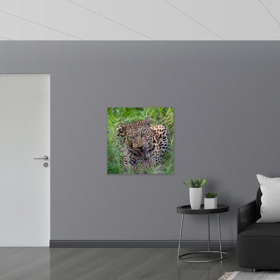 WallClassics - Panneau en mousse PVC – Léopard mangeant et chassant – Photo 80 x 80 cm sur panneau en mousse PVC