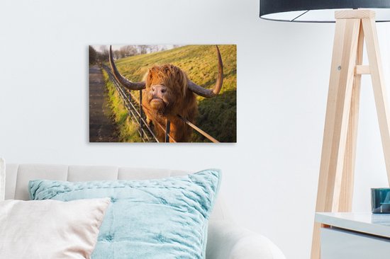 Peinture sur toile Highlander écossais - Clôture - Herbe - 30x20 cm - Décoration murale